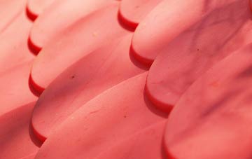 Dannonchapel plastic roof costs